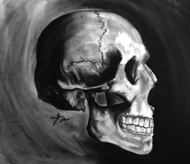 Skull Side